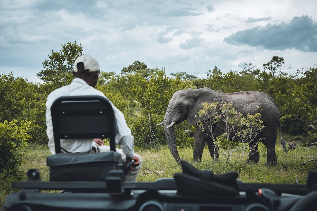 Photo Safari jeep